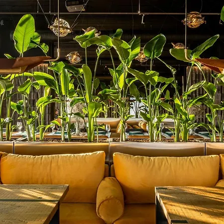 Hotel Loft7 4*